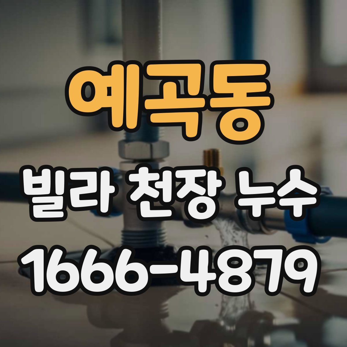 예곡동 빌라 천장 누수