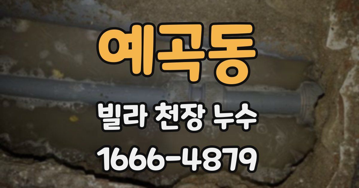 예곡동 빌라 천장 누수
