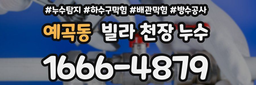 예곡동 빌라 천장 누수