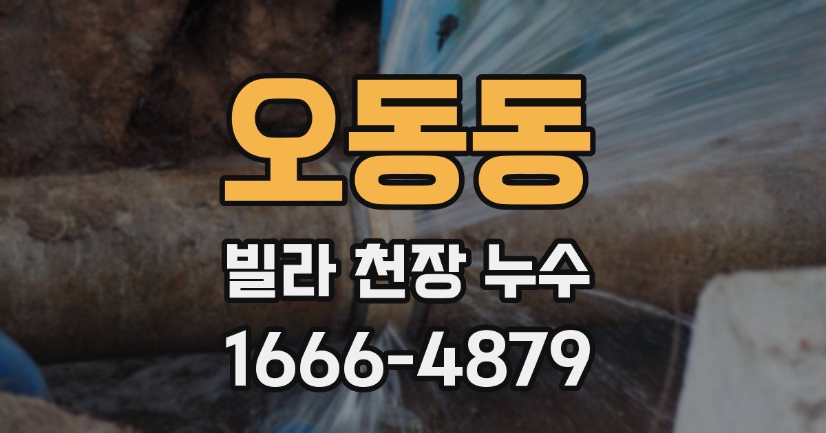 오동동 빌라 천장 누수