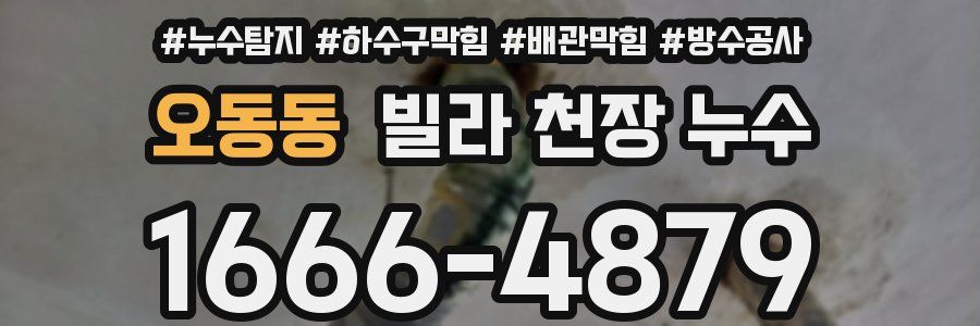 오동동 빌라 천장 누수