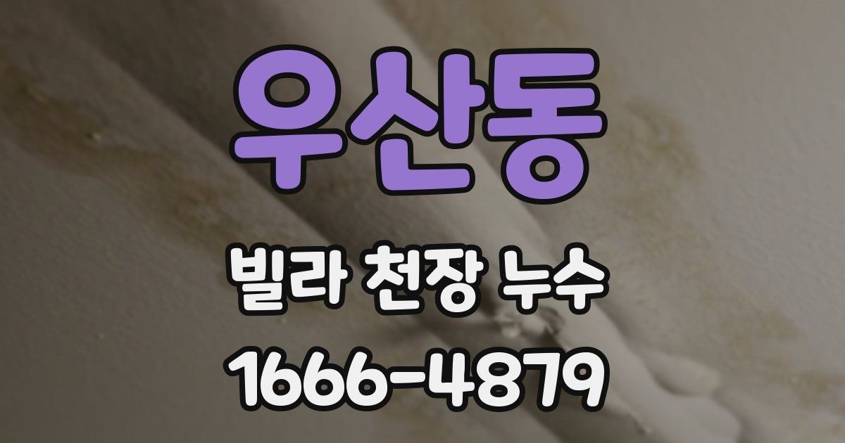 우산동 빌라 천장 누수