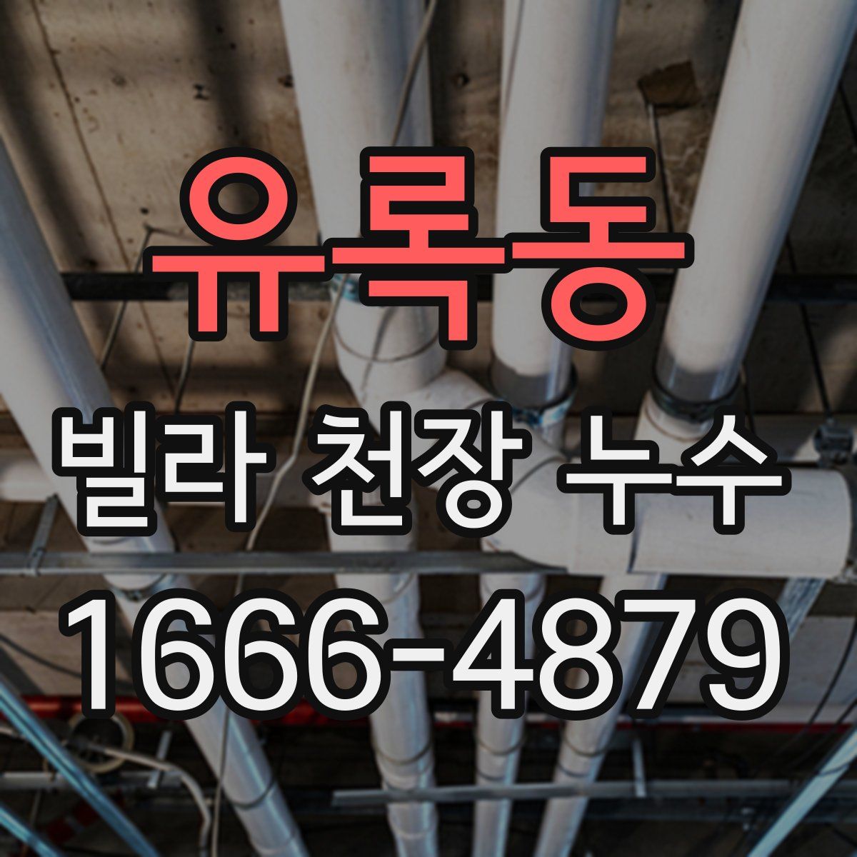 유록동 빌라 천장 누수