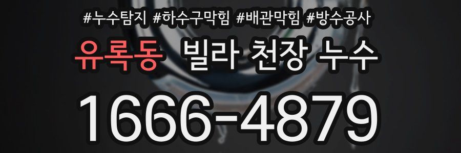 유록동 빌라 천장 누수