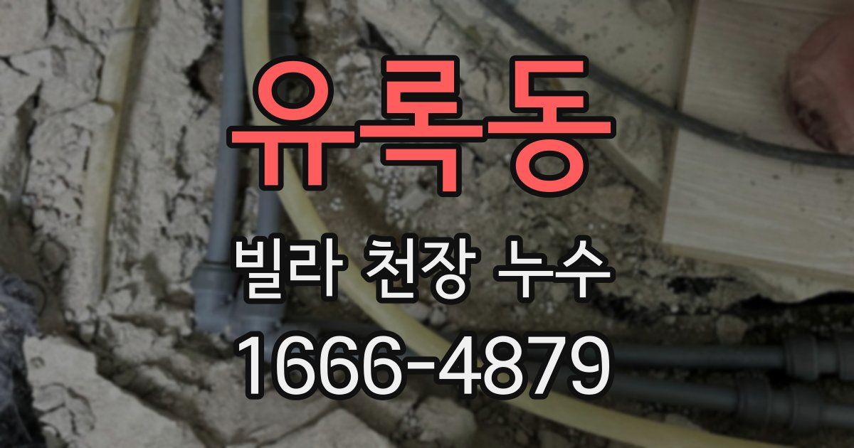 유록동 빌라 천장 누수