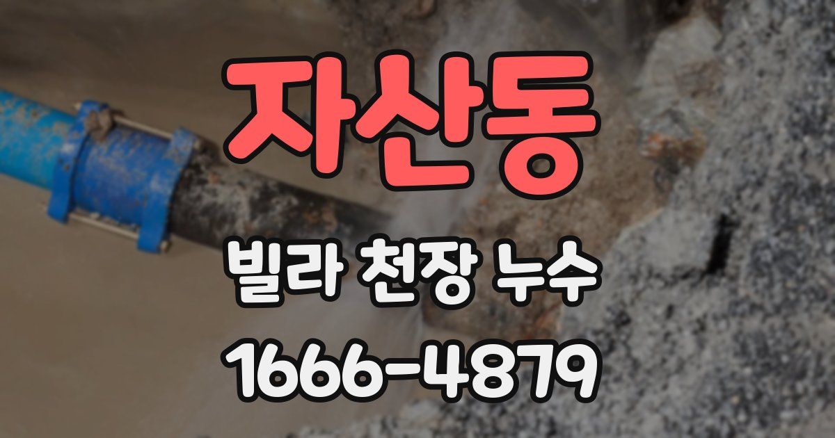 자산동 빌라 천장 누수