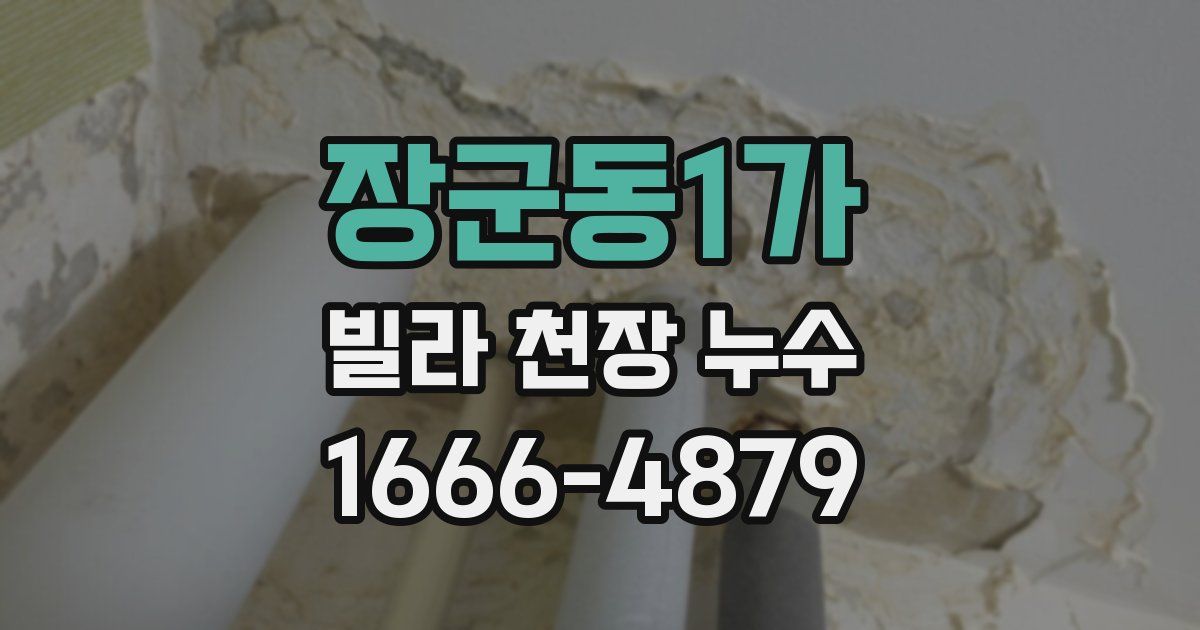 장군동1가 빌라 천장 누수