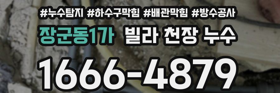 장군동1가 빌라 천장 누수