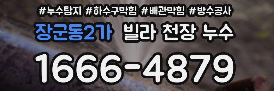 장군동2가 빌라 천장 누수