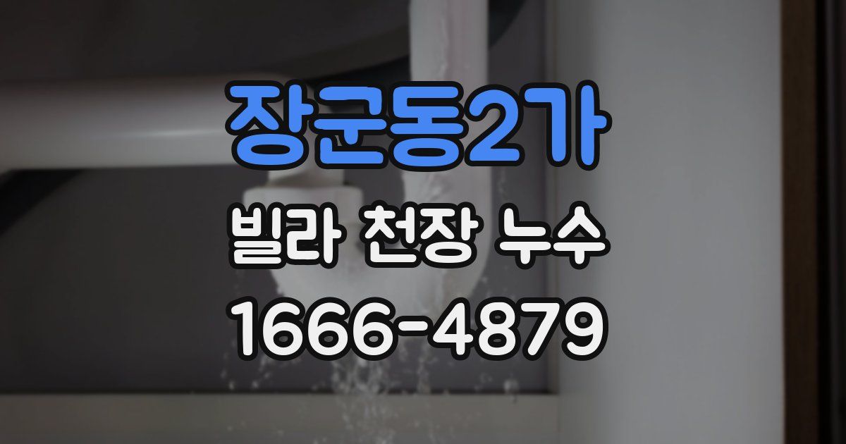 장군동2가 빌라 천장 누수