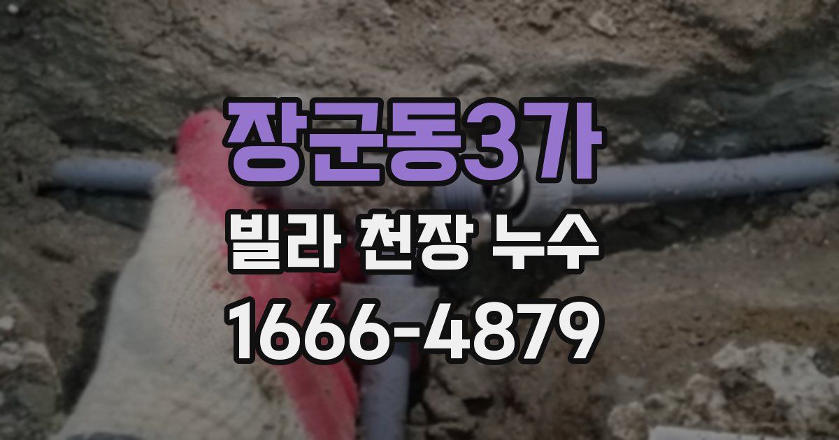 장군동3가 빌라 천장 누수