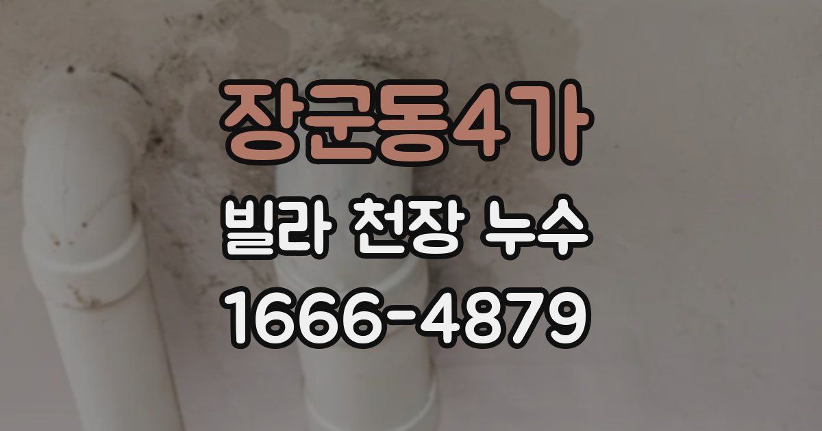 장군동4가 빌라 천장 누수