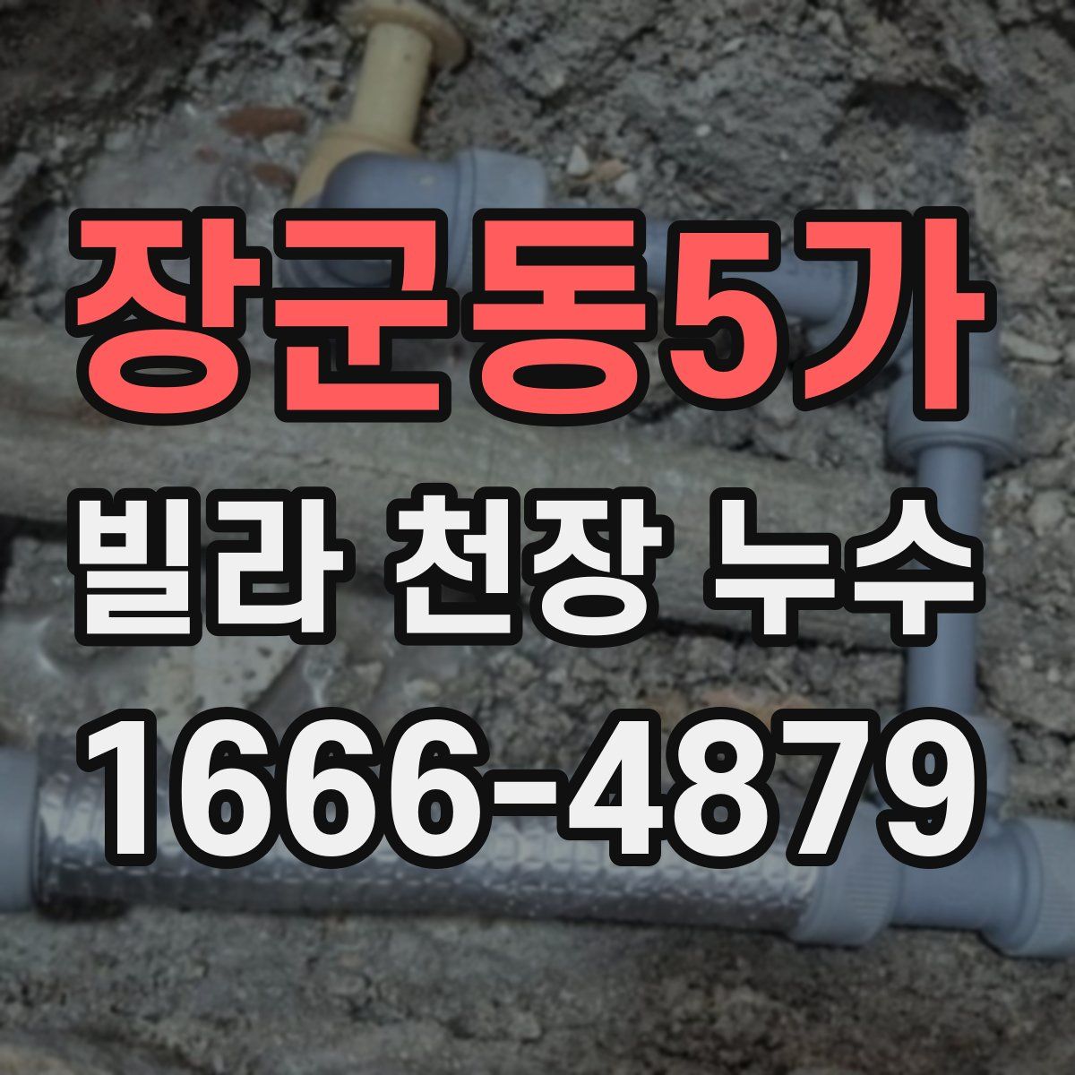 장군동5가 빌라 천장 누수