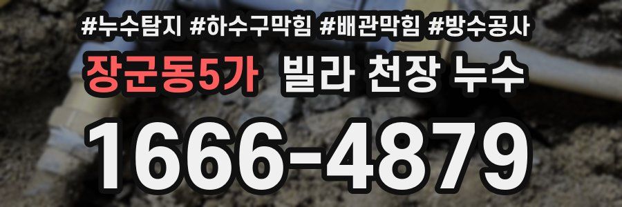 장군동5가 빌라 천장 누수