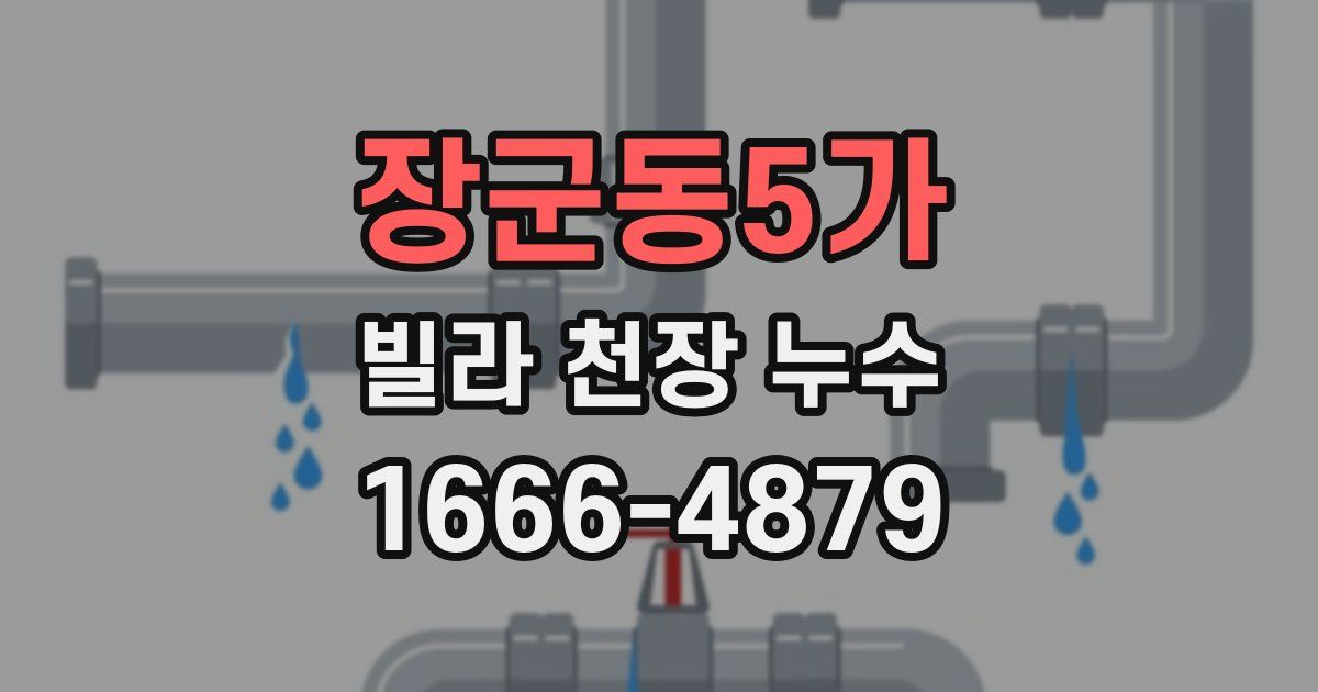 장군동5가 빌라 천장 누수