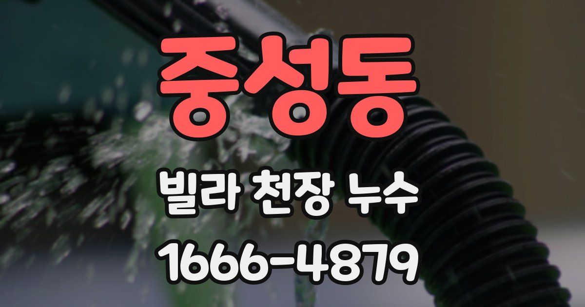중성동 빌라 천장 누수
