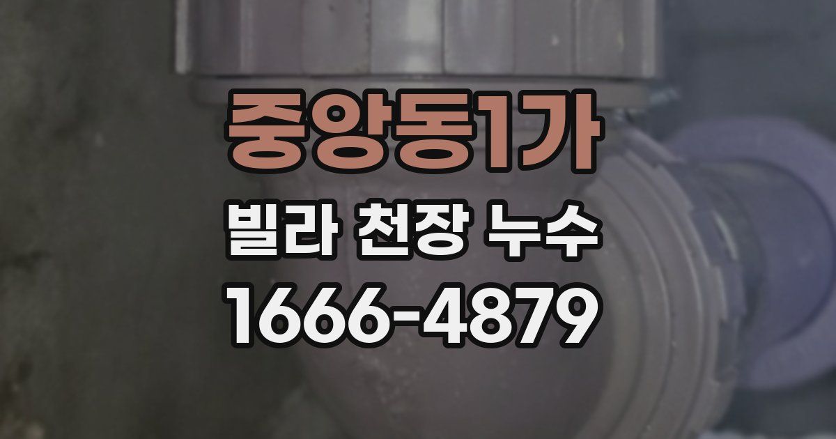 중앙동1가 빌라 천장 누수