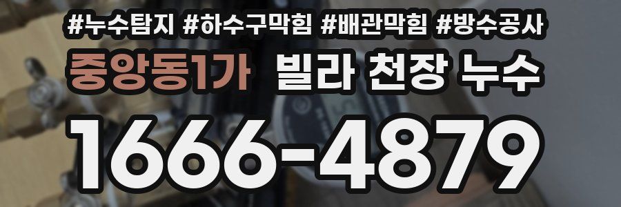 중앙동1가 빌라 천장 누수