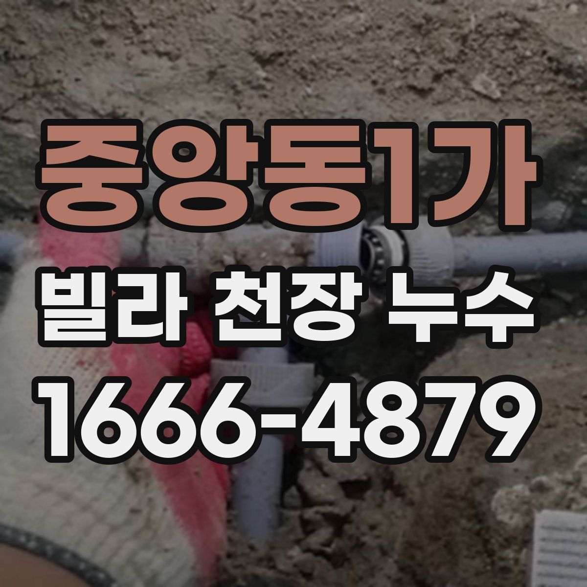 중앙동1가 빌라 천장 누수