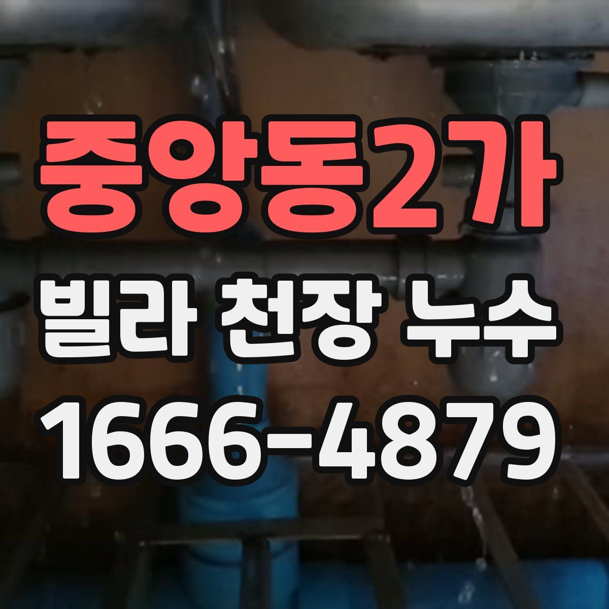 중앙동2가 빌라 천장 누수
