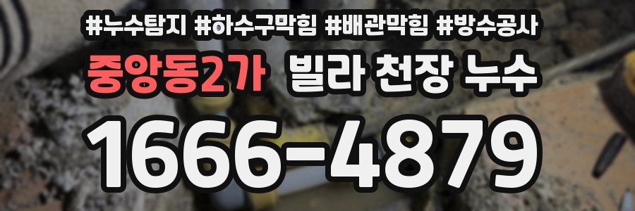 중앙동2가 빌라 천장 누수