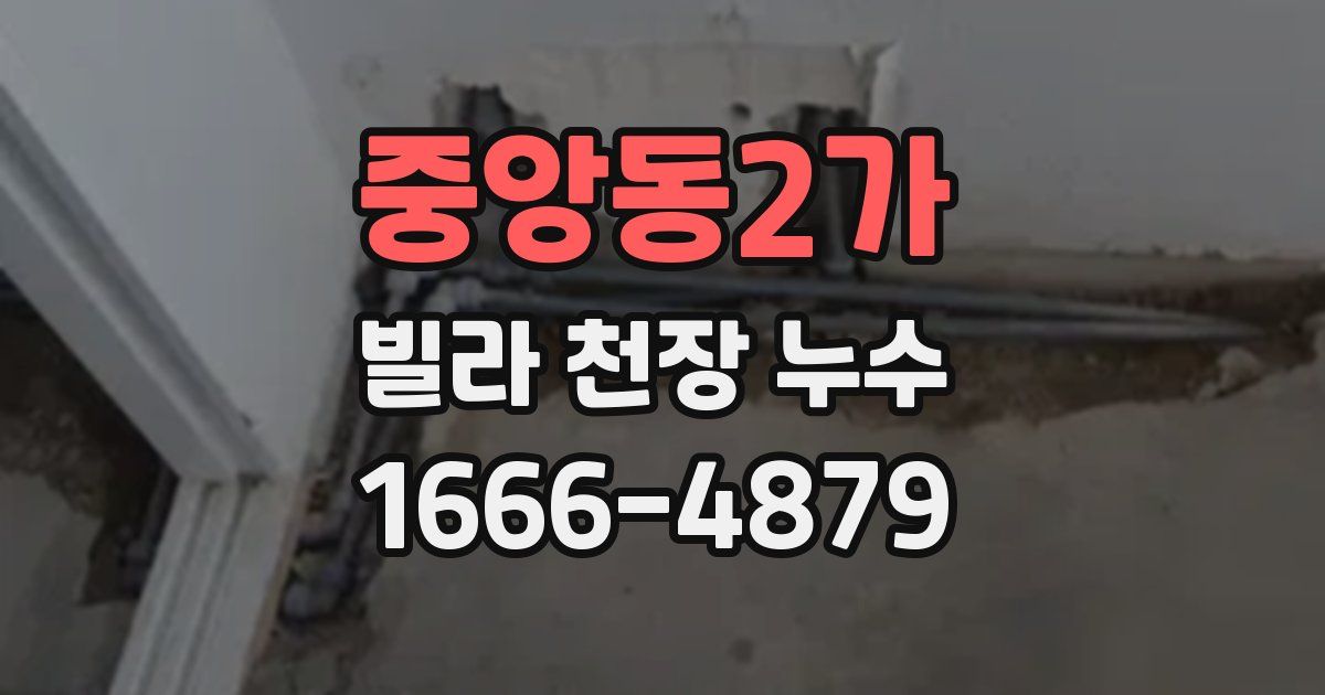 중앙동2가 빌라 천장 누수