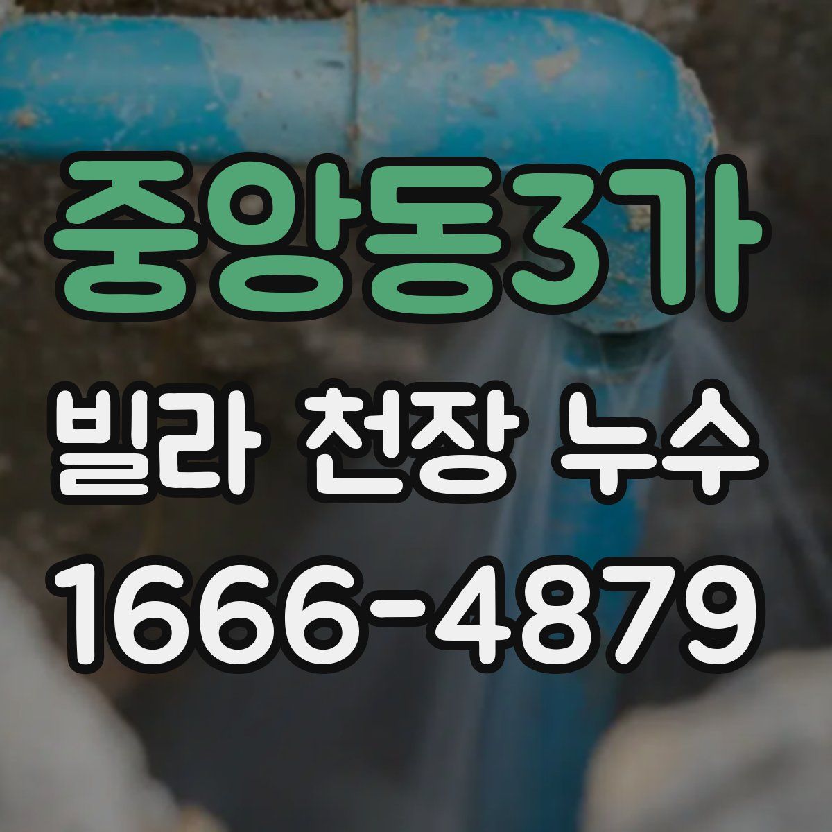 중앙동3가 빌라 천장 누수