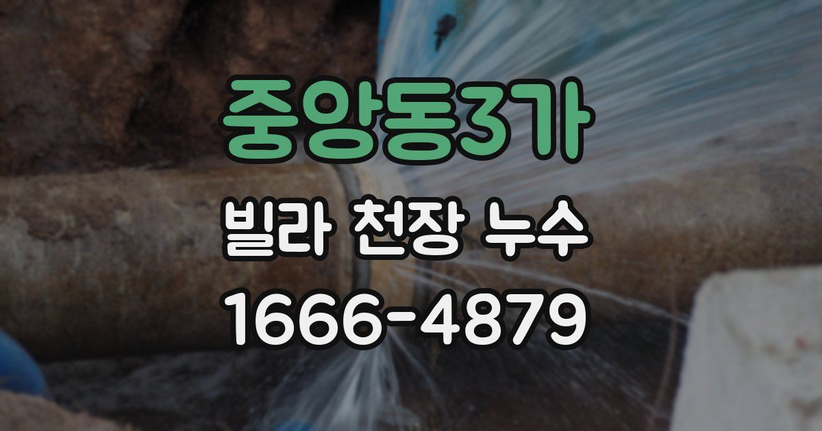 중앙동3가 빌라 천장 누수