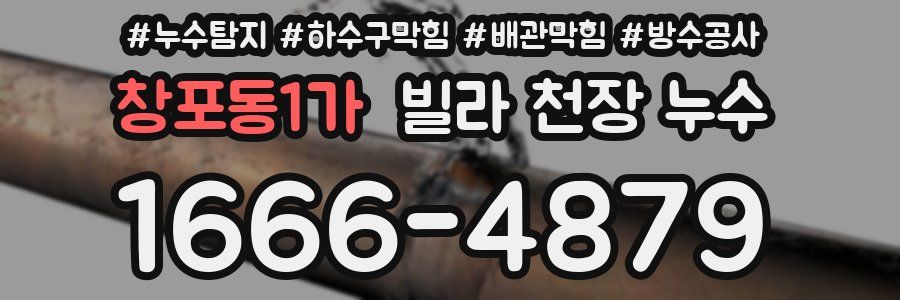 창포동1가 빌라 천장 누수