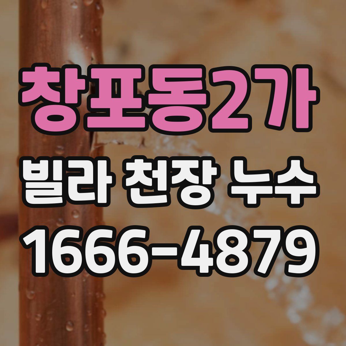 창포동2가 빌라 천장 누수
