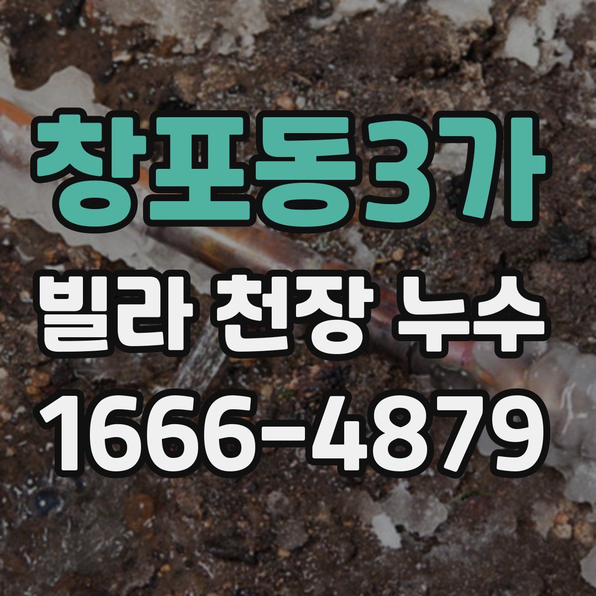 창포동3가 빌라 천장 누수