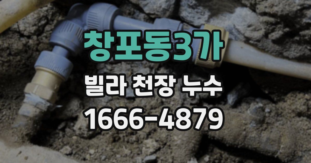 창포동3가 빌라 천장 누수