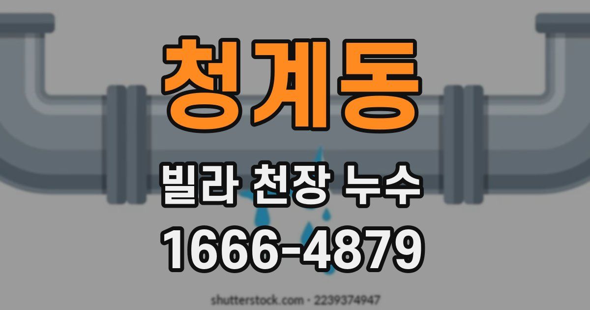 청계동 빌라 천장 누수
