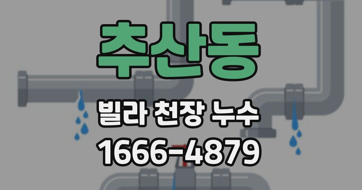추산동 빌라 천장 누수