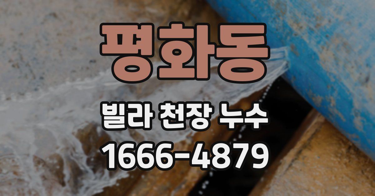 평화동 빌라 천장 누수