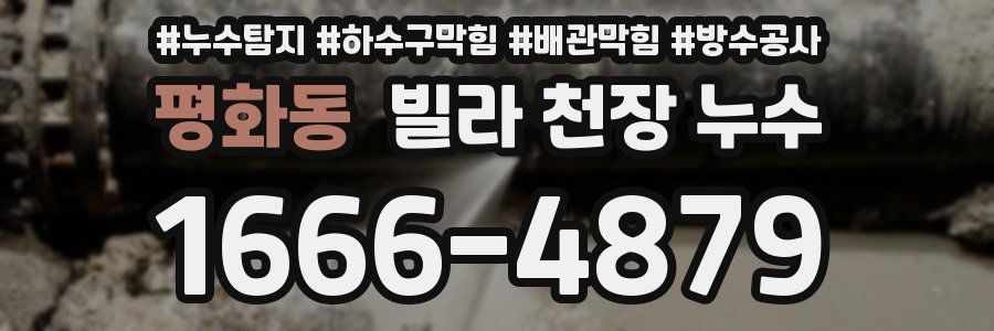 평화동 빌라 천장 누수