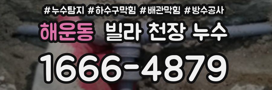해운동 빌라 천장 누수