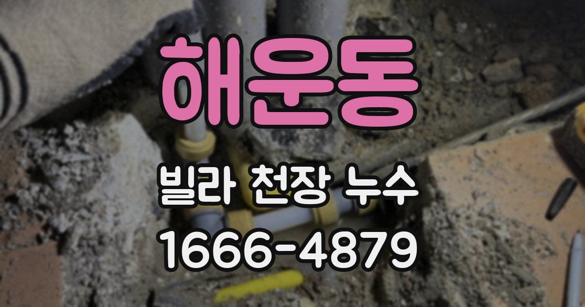 해운동 빌라 천장 누수