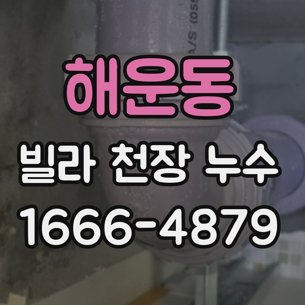 해운동 빌라 천장 누수