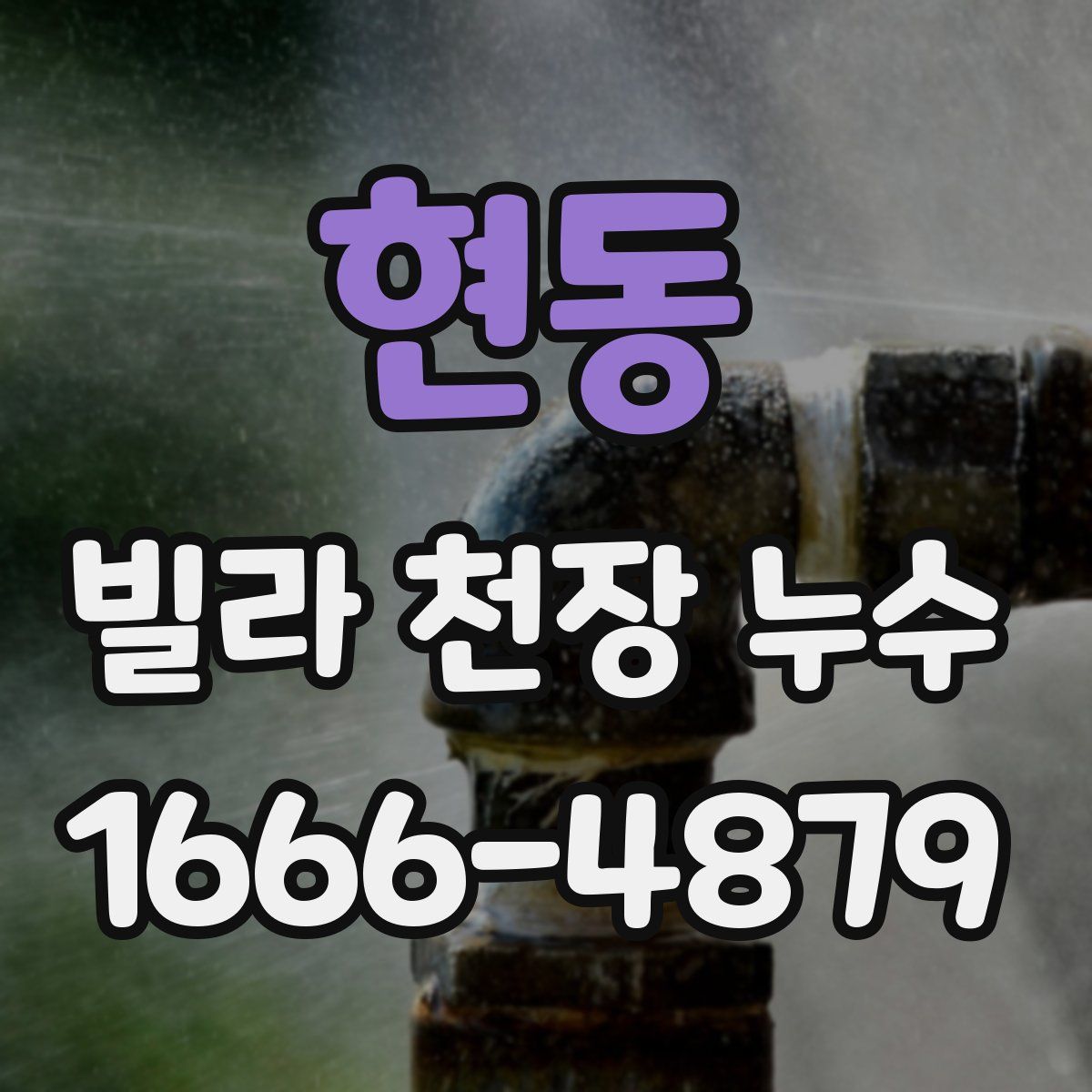 현동 빌라 천장 누수