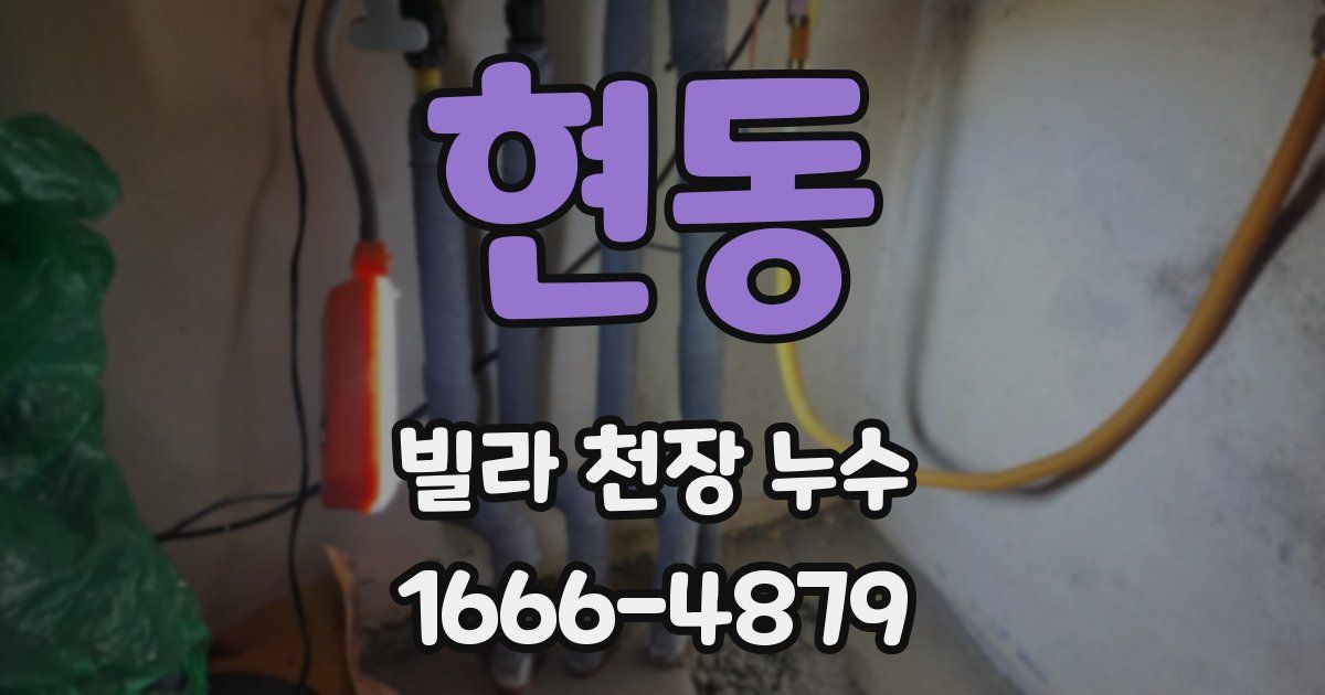 현동 빌라 천장 누수
