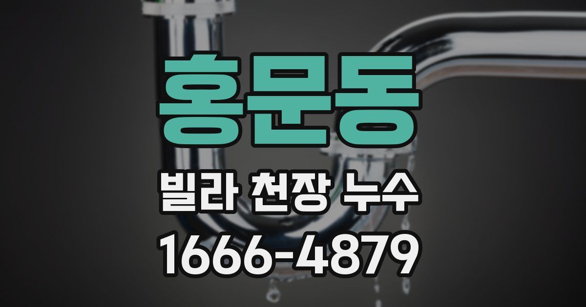 홍문동 빌라 천장 누수