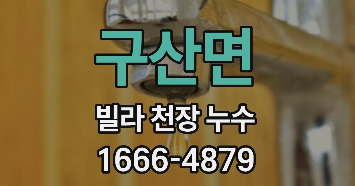 구산면 빌라 천장 누수