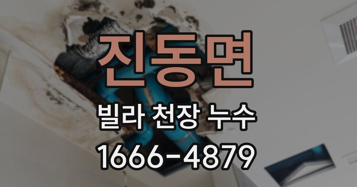 진동면 빌라 천장 누수