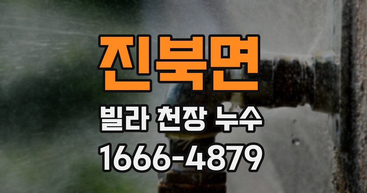 진북면 빌라 천장 누수