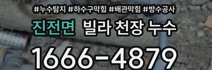 진전면 빌라 천장 누수