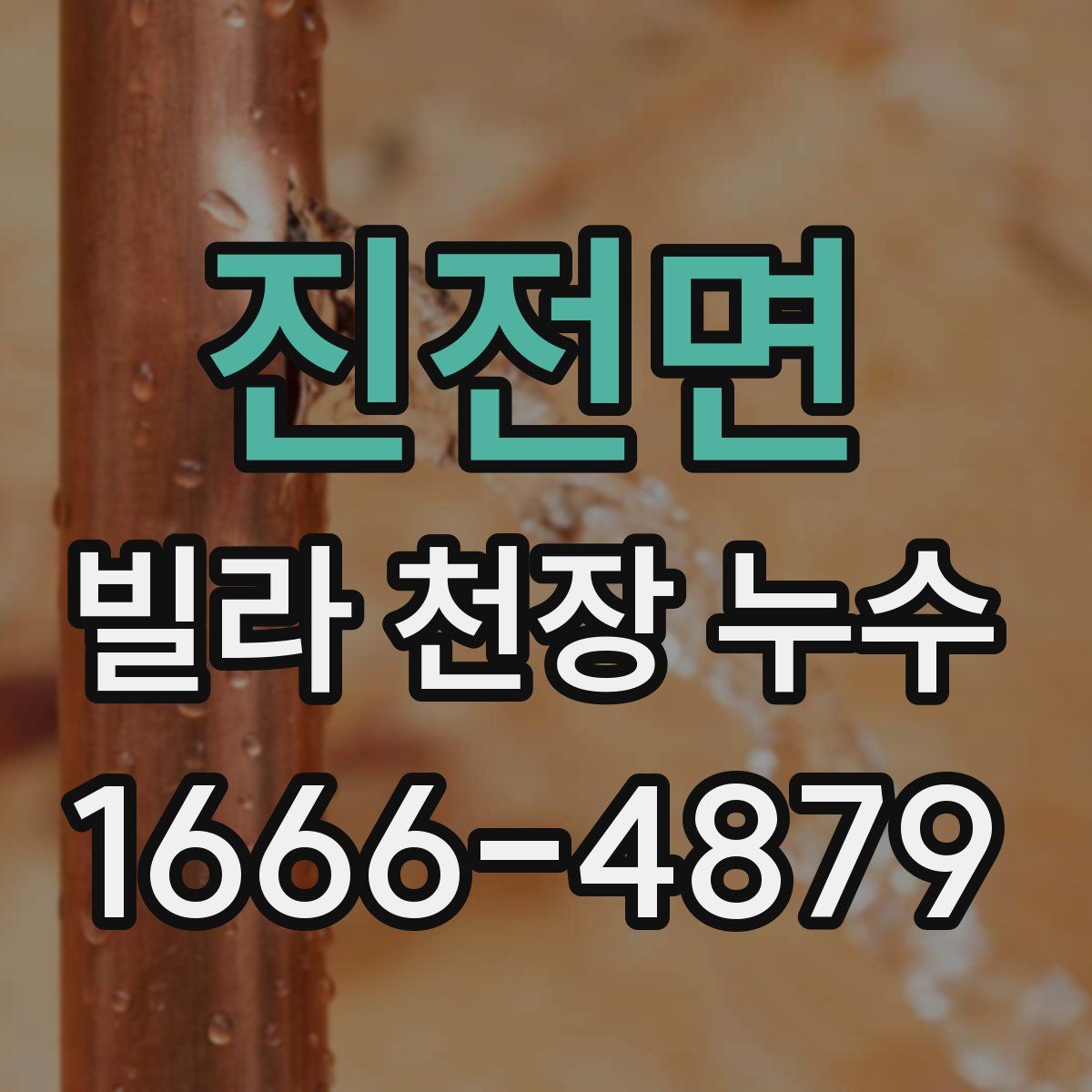 진전면 빌라 천장 누수