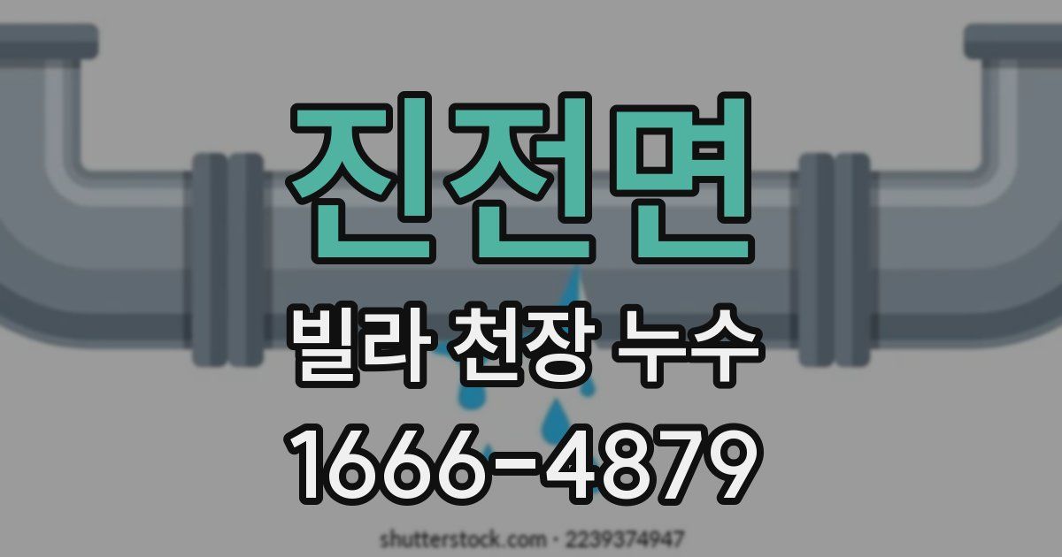 진전면 빌라 천장 누수