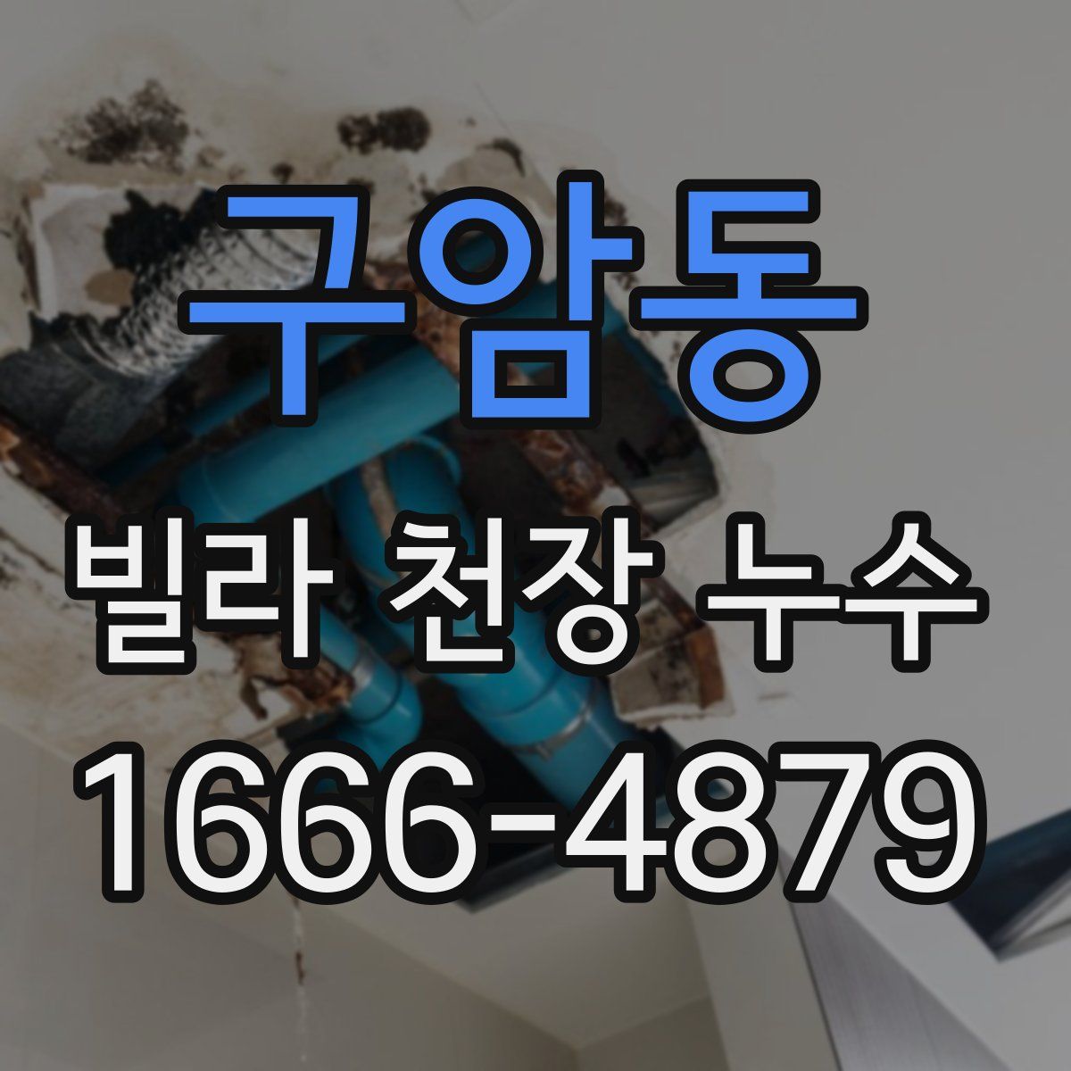 구암동 빌라 천장 누수