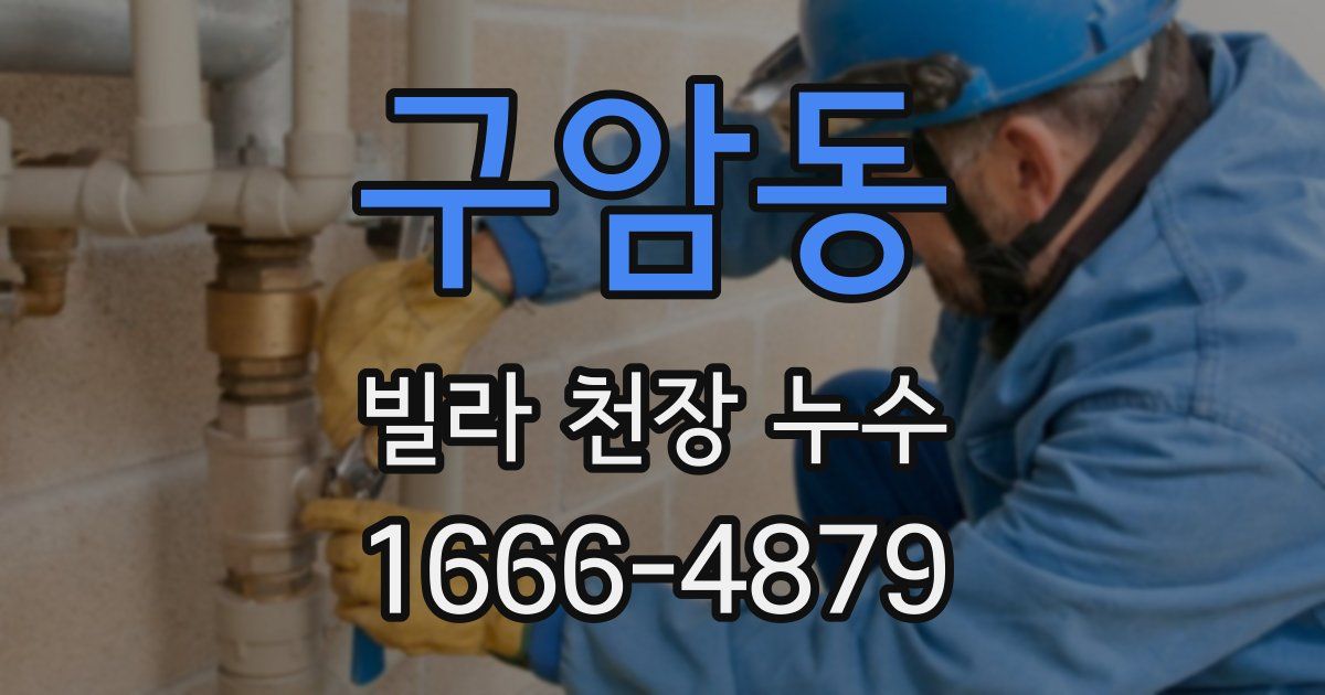 구암동 빌라 천장 누수